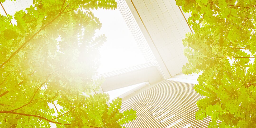 Green trees between buildings 